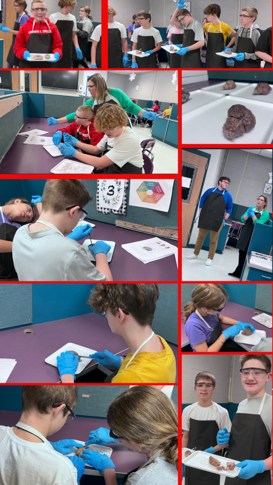 Louisa Middle School: PLTW Sixth-Grade Students