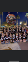 LMS cheer takes on Disney