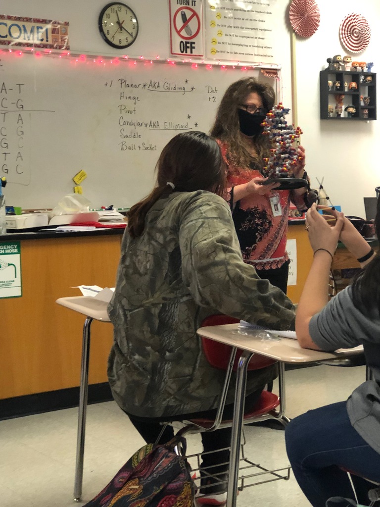 Biomed 1