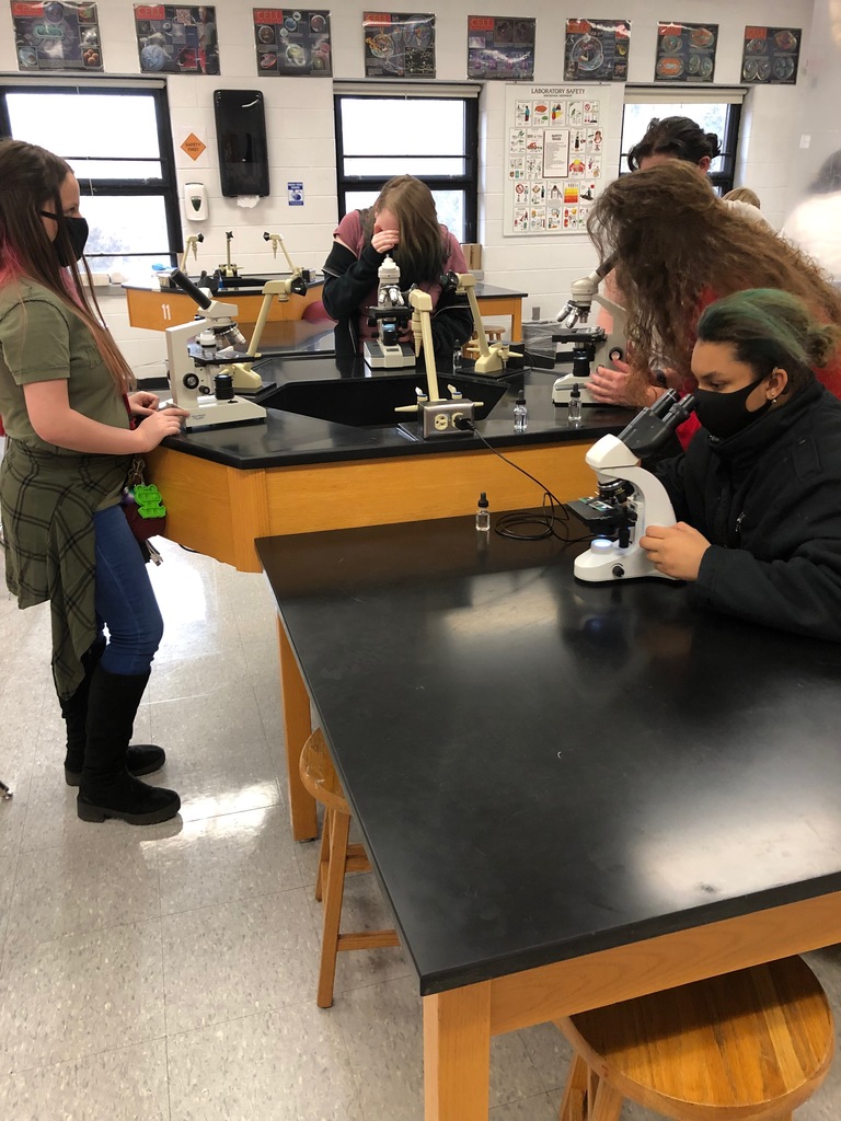 Biomed 3