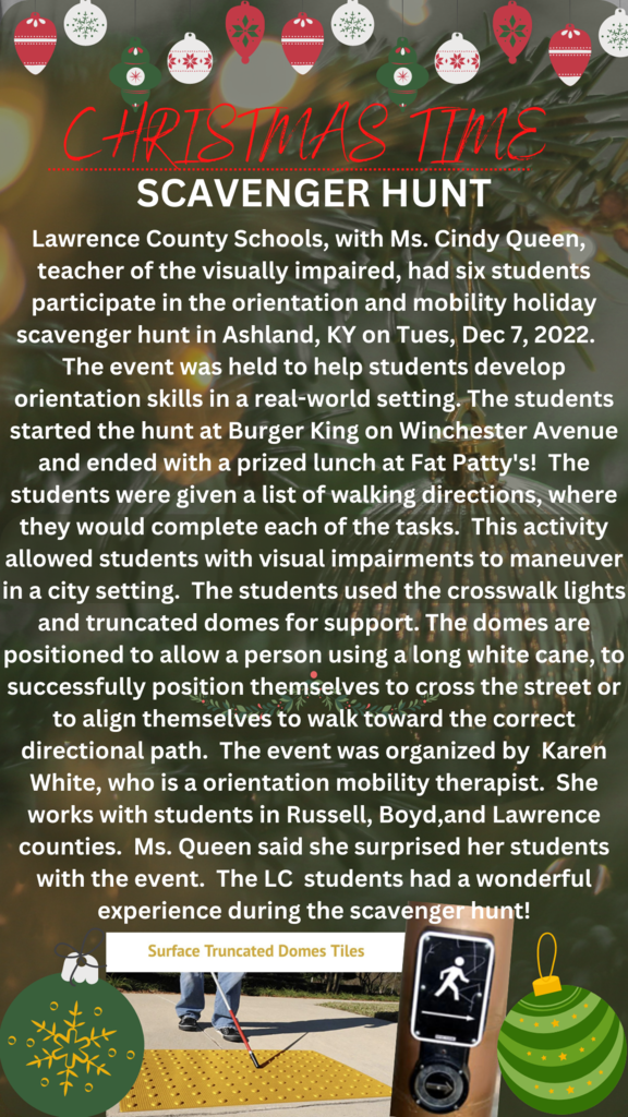 LC Visibilty students
